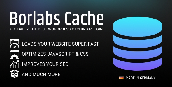 Borlabs Cache plugin 