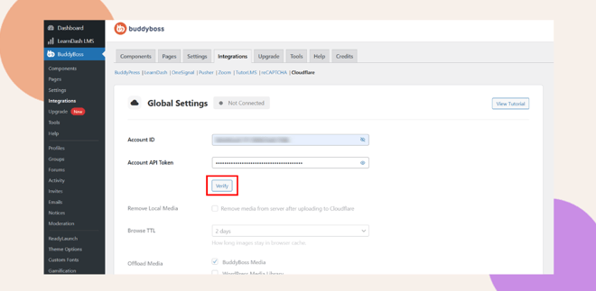 A website dashboard displays the BuddyBoss integrations settings page showing fields for Account ID and Account API Token with a Verify button highlighted in red below the token field