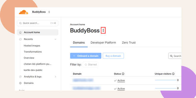 Screenshot of the BuddyBoss account home page showing navigation on the left with tabs for Domains Developer Platform and Zero Trust and buttons to onboard or buy a domain