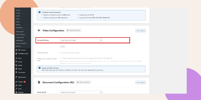 A screenshot of a website settings page shows the Video Configuration section with a highlighted field labeled Stream API Token outlined in red Other configuration sections are visible above and below