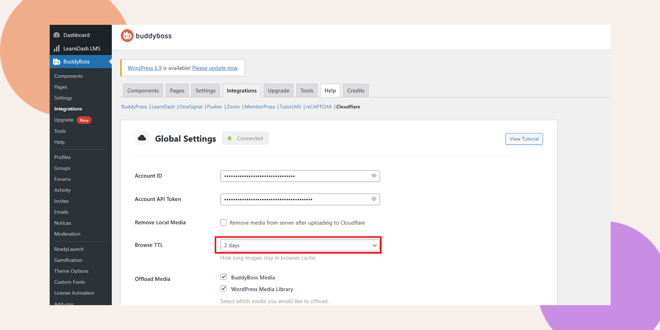 A BuddyBoss dashboard shows the Cloudflare integrations settings with the Browse TTL field highlighted and set to 2 days The interface features a white background and colored shapes in the corners