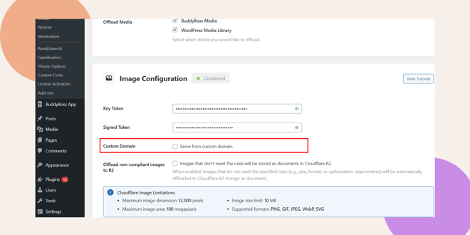 Screenshot of a WordPress admin settings page showing the Image Configuration section with the Custom Domain option outlined in red The menu on the left lists site management options