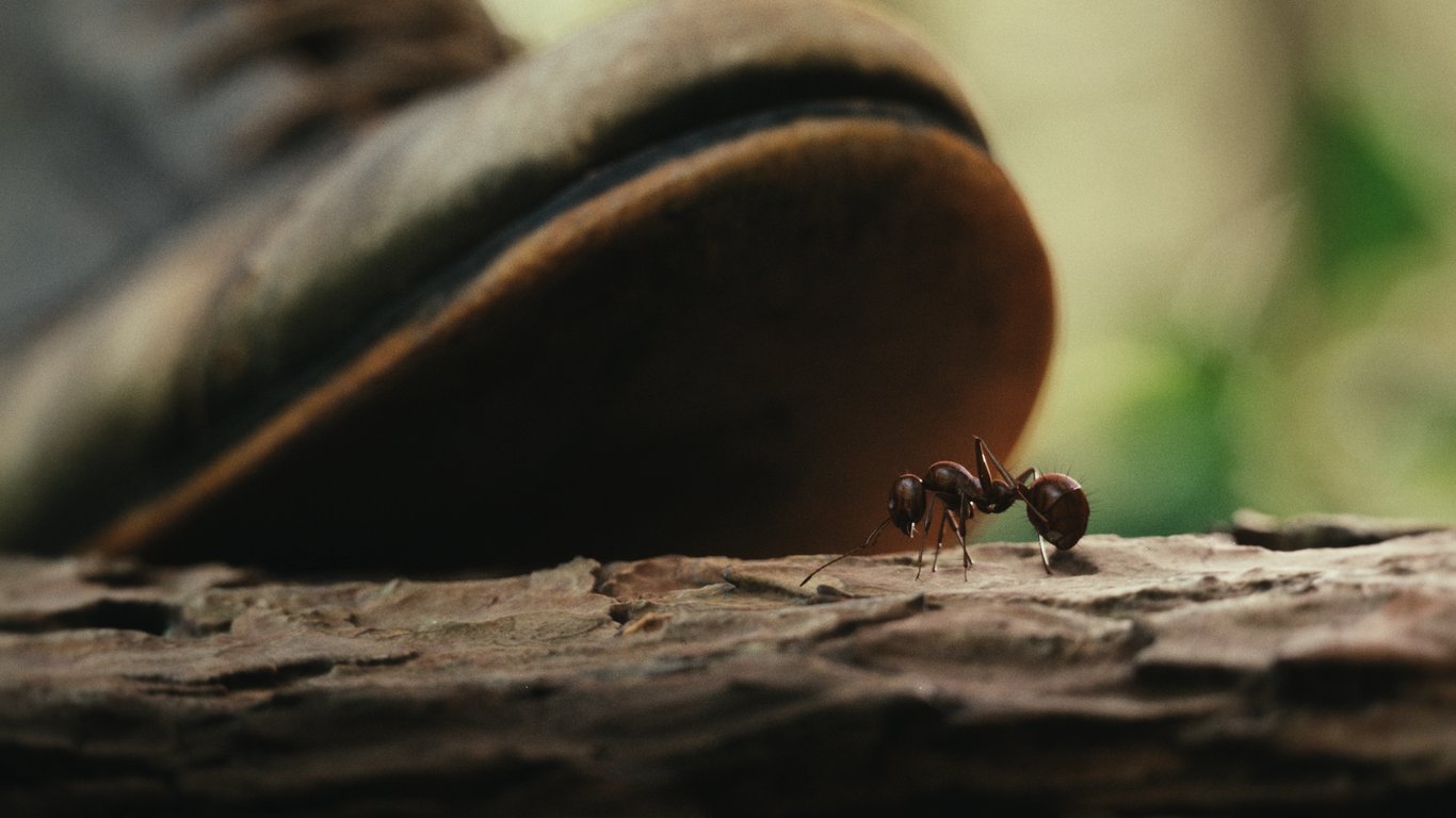 Recreating Macrophotography