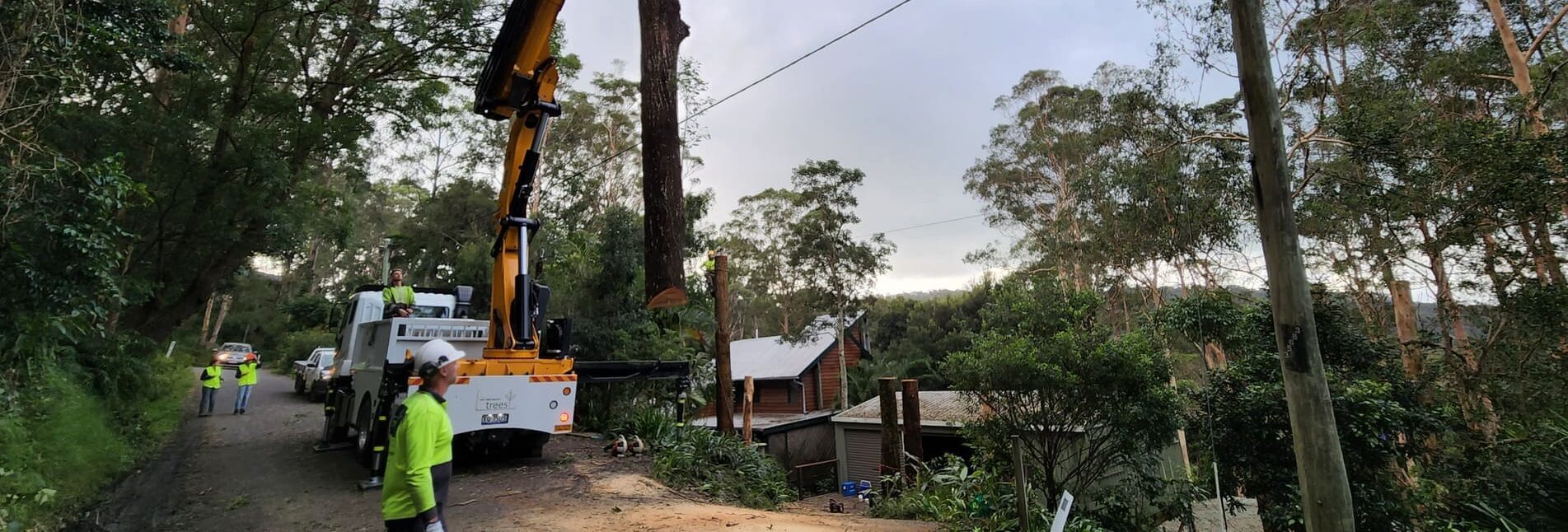 Crane truck working down a bush driveway beside a house in Brisbane's hills