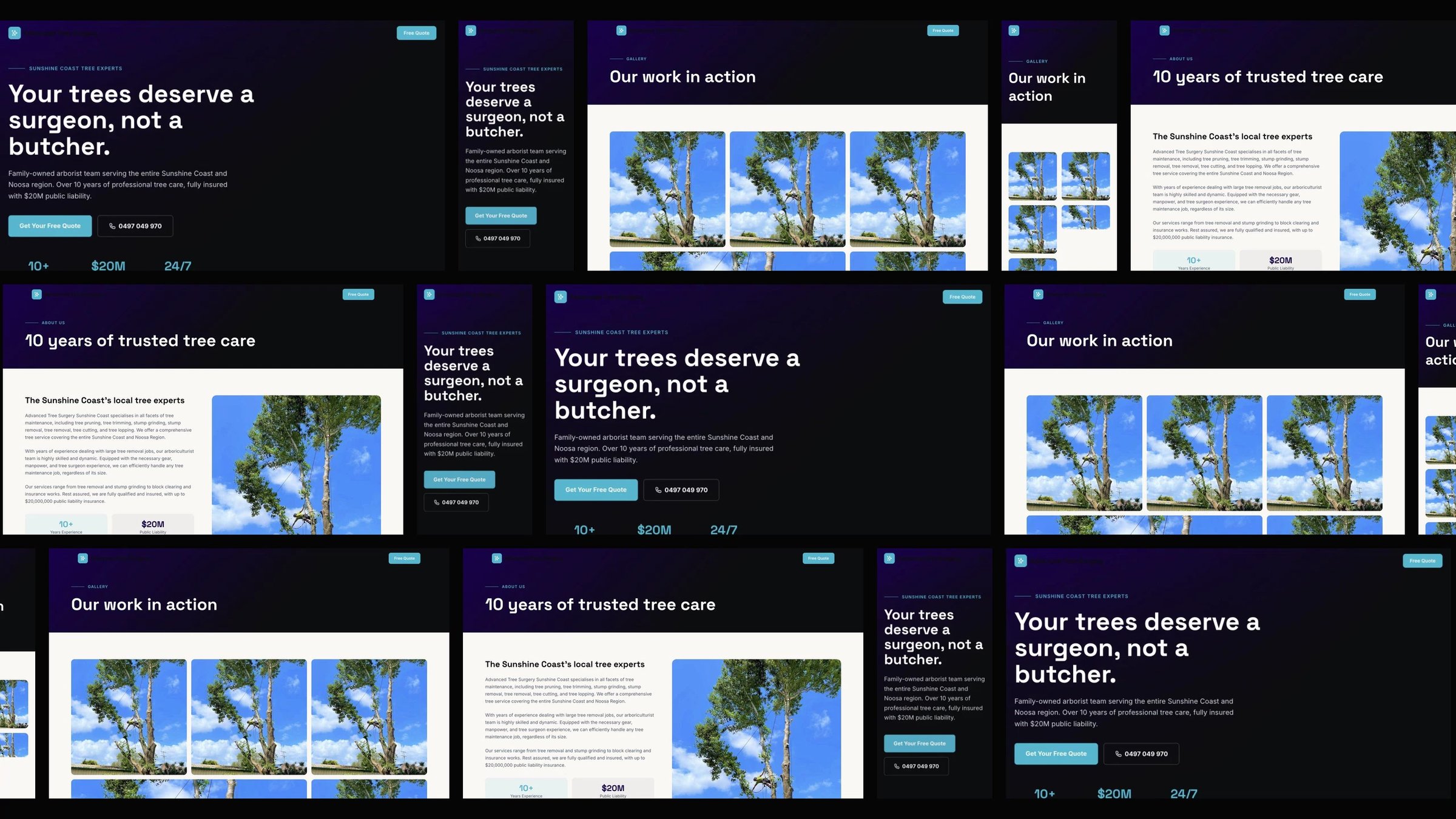 Advanced Tree Surgery Sunshine Coast: desktop and mobile website designs