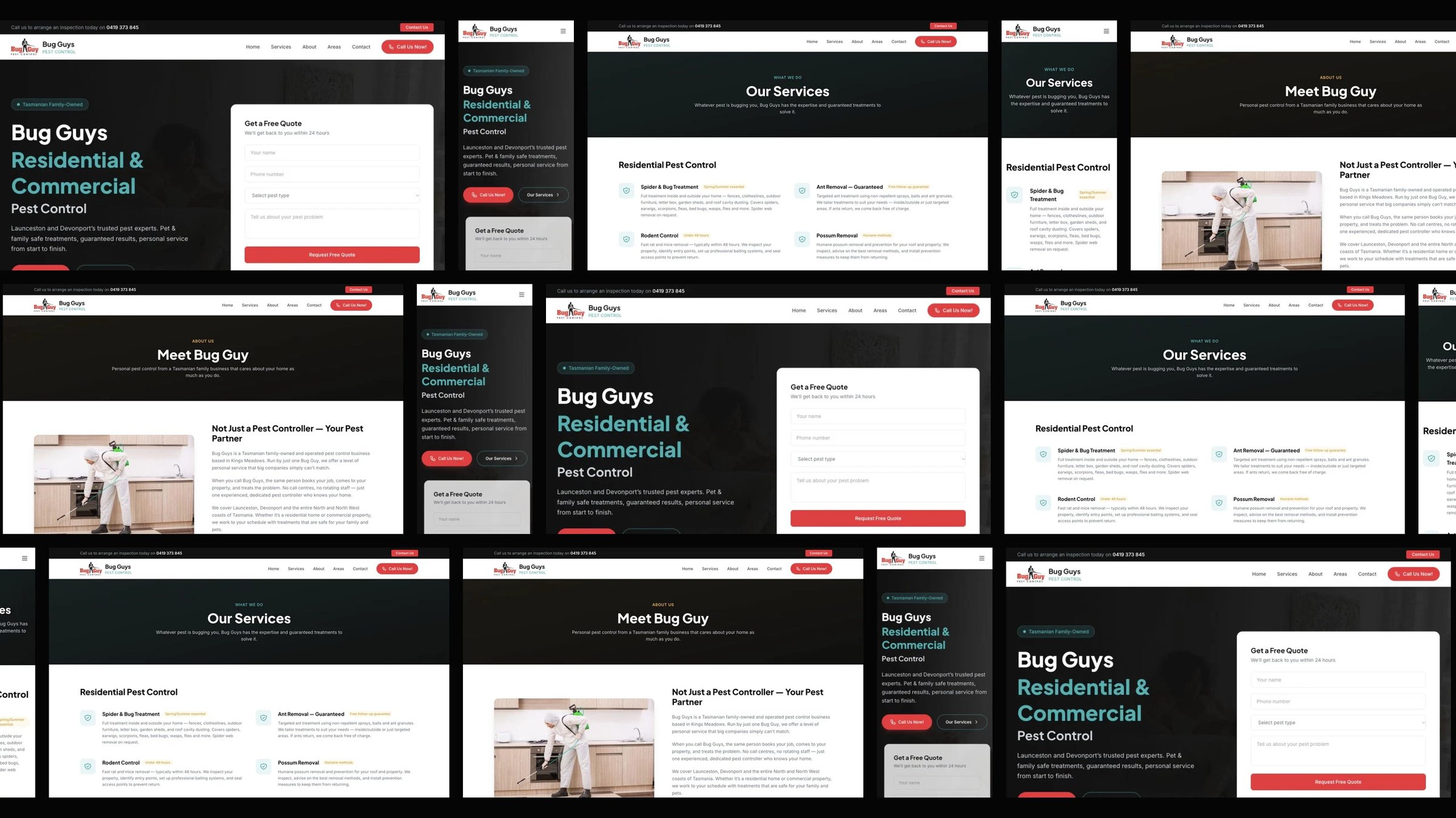 Bug Guys: desktop and mobile website designs