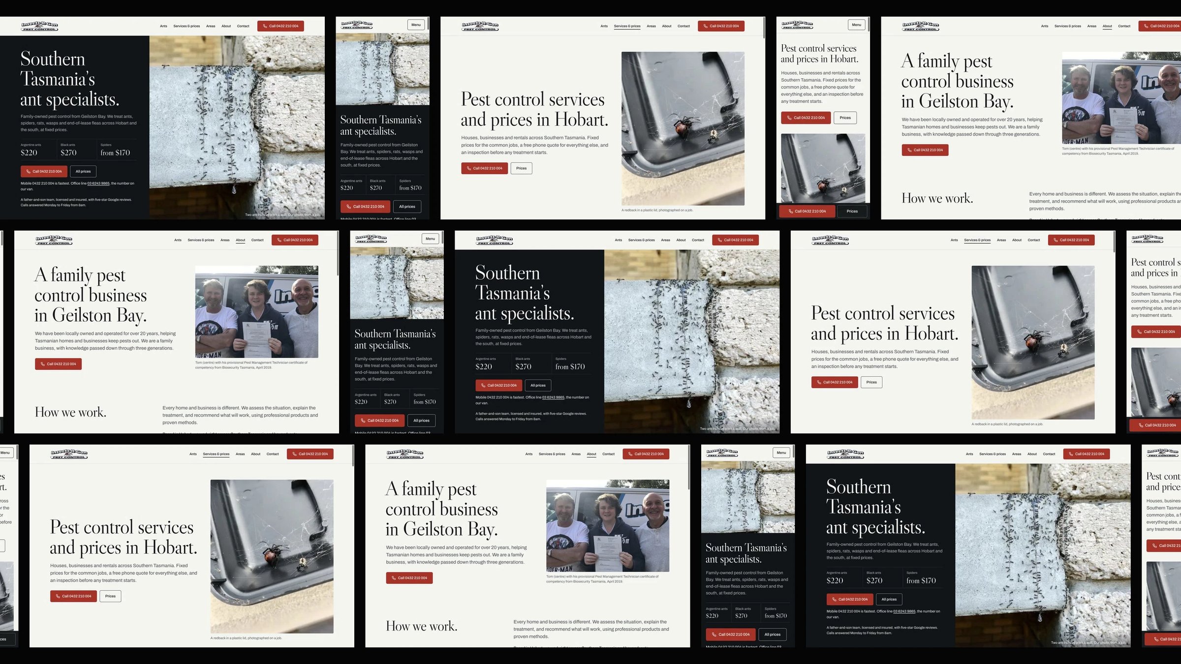 Insects-r-gon Pest Control: desktop and mobile website designs