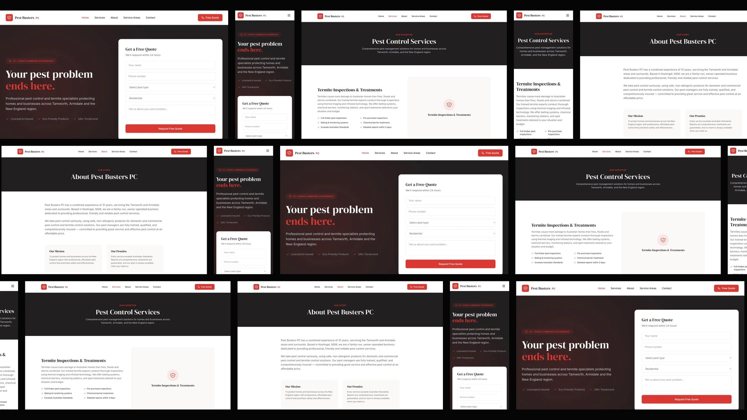 Pest Busters PC: desktop and mobile website designs