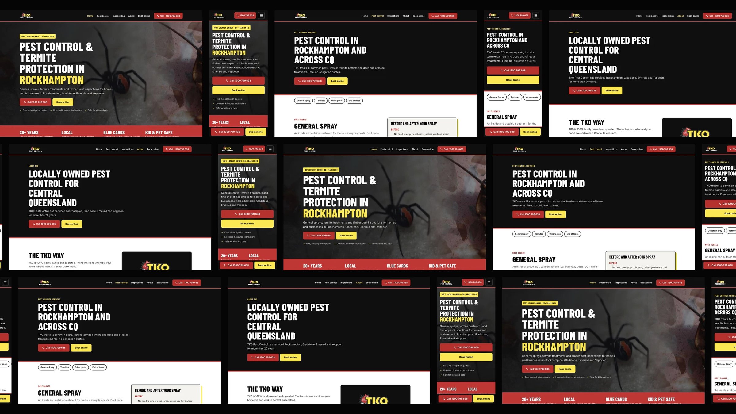 TKO Pest Control: desktop and mobile website designs