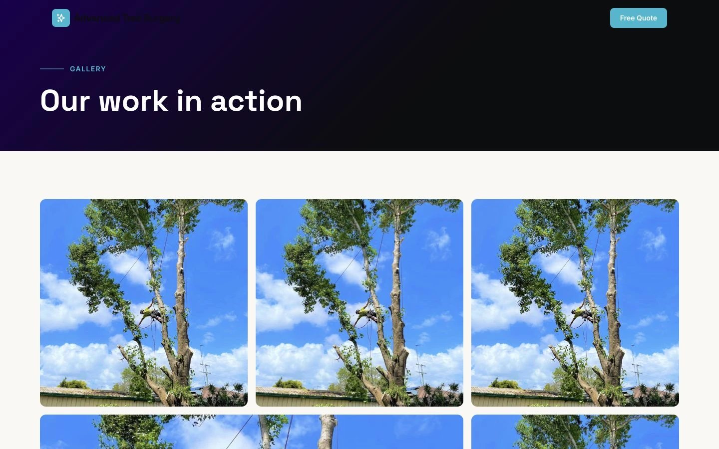 Advanced Tree Surgery Sunshine Coast: Gallery desktop layout