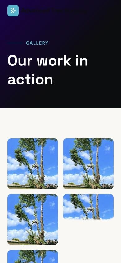 Advanced Tree Surgery Sunshine Coast: Gallery mobile layout