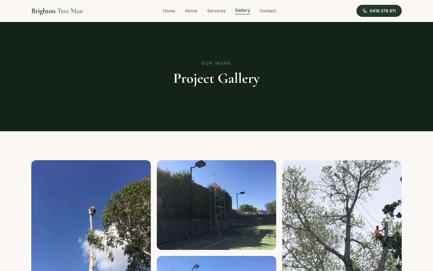 Brighton Tree Man: Gallery desktop layout