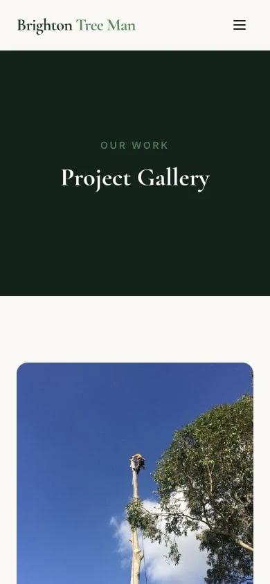 Brighton Tree Man: Gallery mobile layout