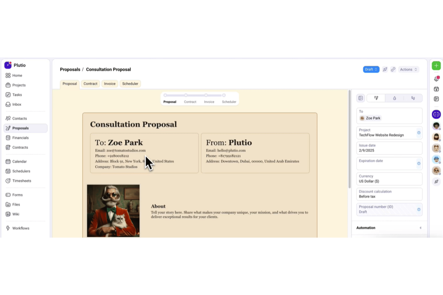 Plutio consultation proposal interface showing client and sender details with project info panel.
