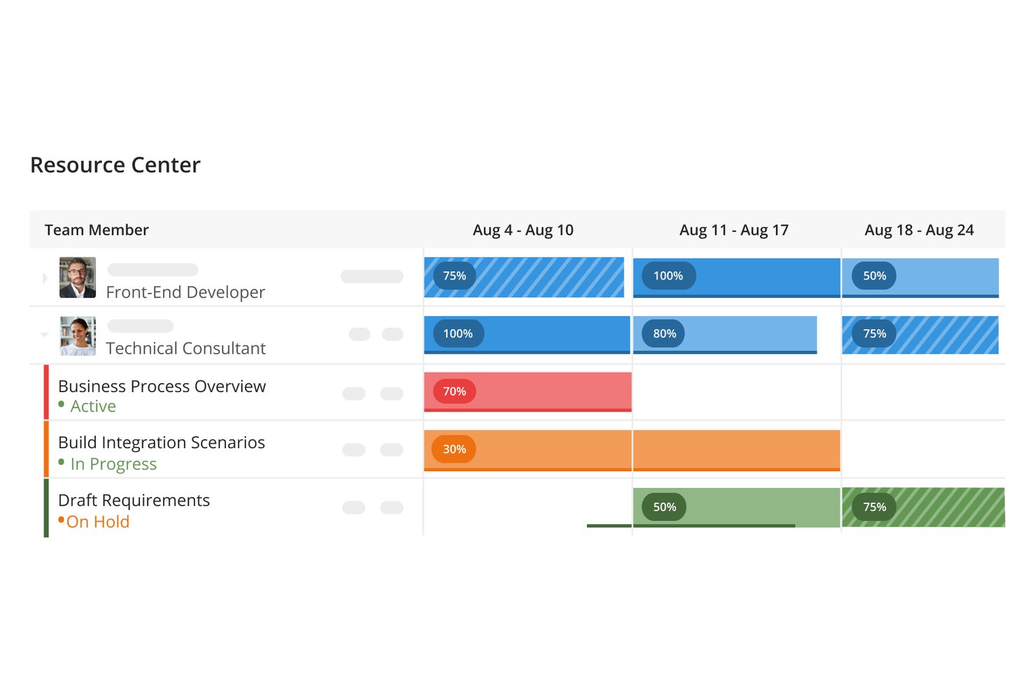 Gantt-style resource chart showing team members and tasks with weekly completion percentages.