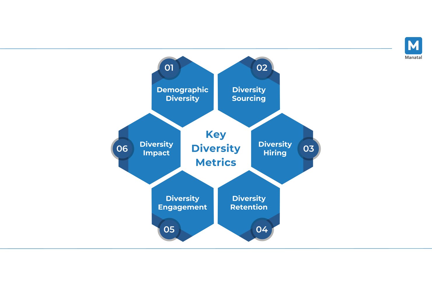 Hexagonal diagram showing six key diversity metrics around a central label.