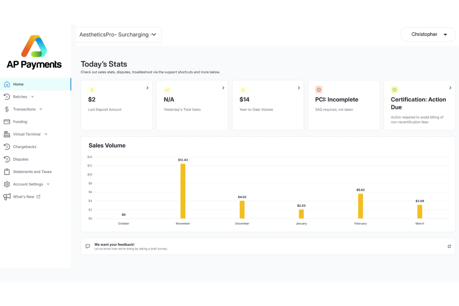 Tableau de bord AP Payments affichant les statistiques de vente, l’état PCI et le graphique du volume des ventes mensuel.