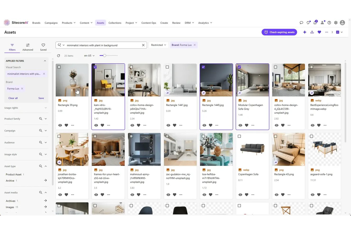 Sitecore DAM-bibliotheek met visuele zoekresultaten voor minimalistische interieurs met planten.