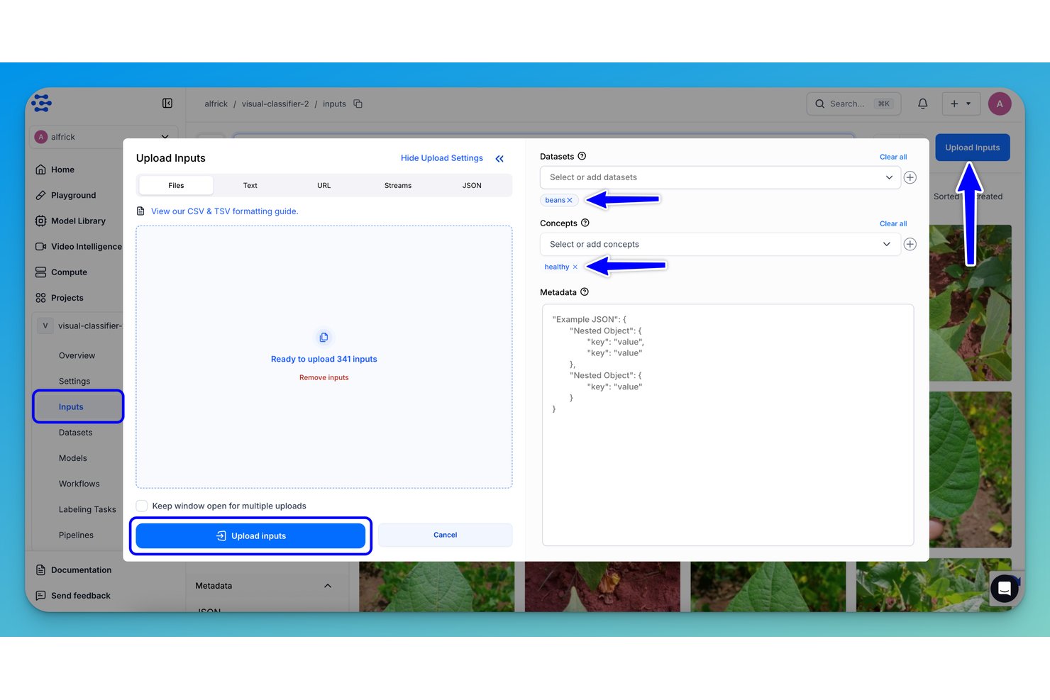 Clarifai screenshot - 10 Best Computer Vision Software in 2026