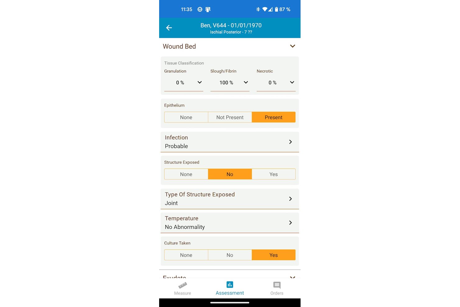 WoundZoom screenshot - 10 beste EPD-software voor wondzorg in 2026