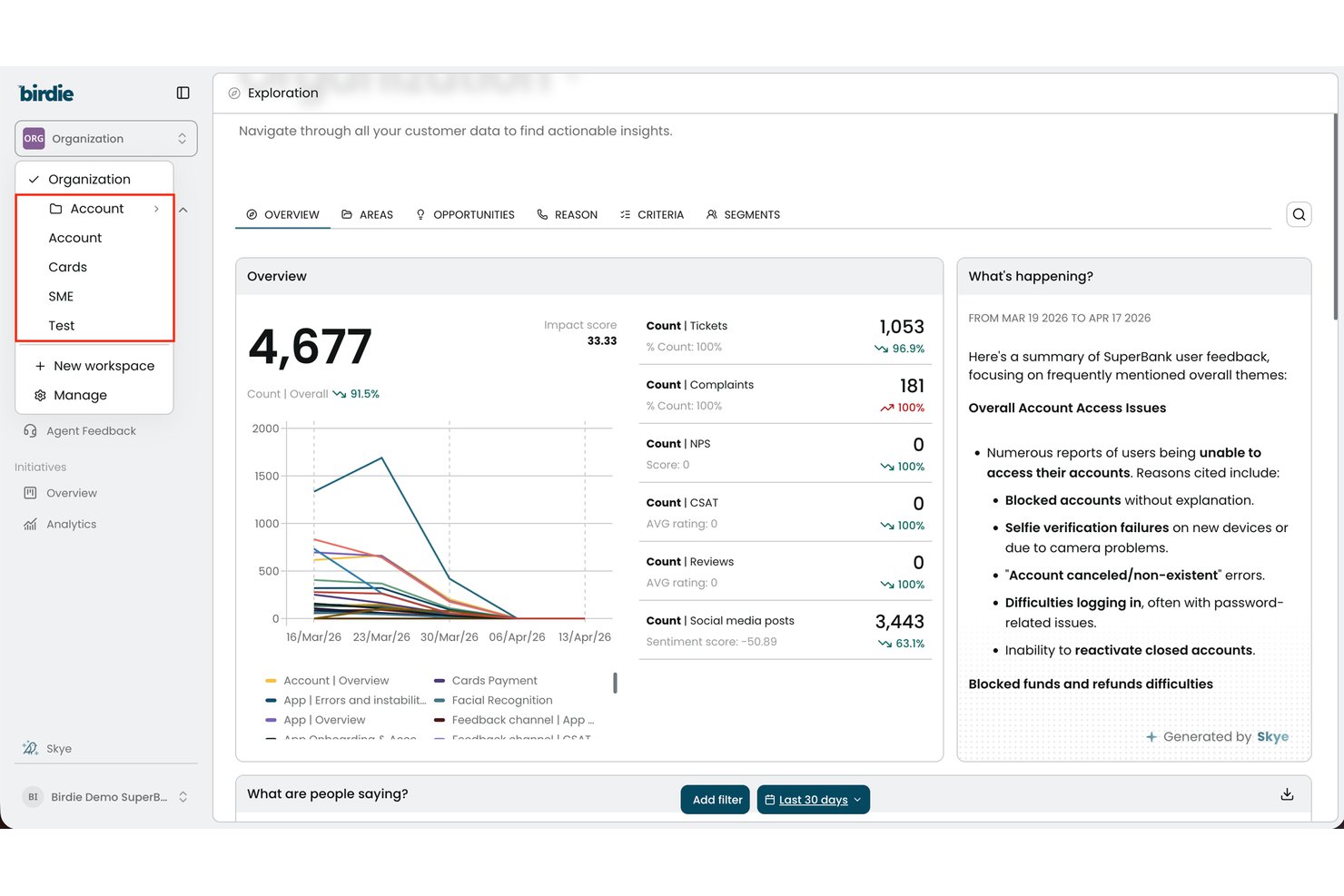 Birdie screenshot - 10 Best AI Customer Insights Tools in 2026