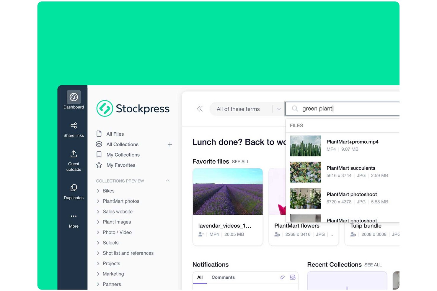Stockpress screenshot - 10 Best Brand Asset Management Software Reviewed in 2026