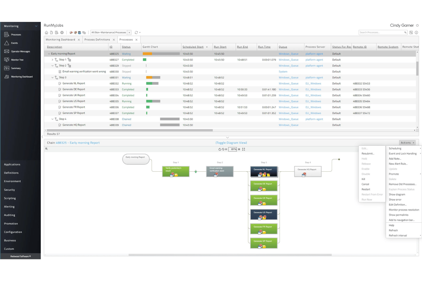 RunMyJobs monitoring dashboard showing job chain diagram and process status list.