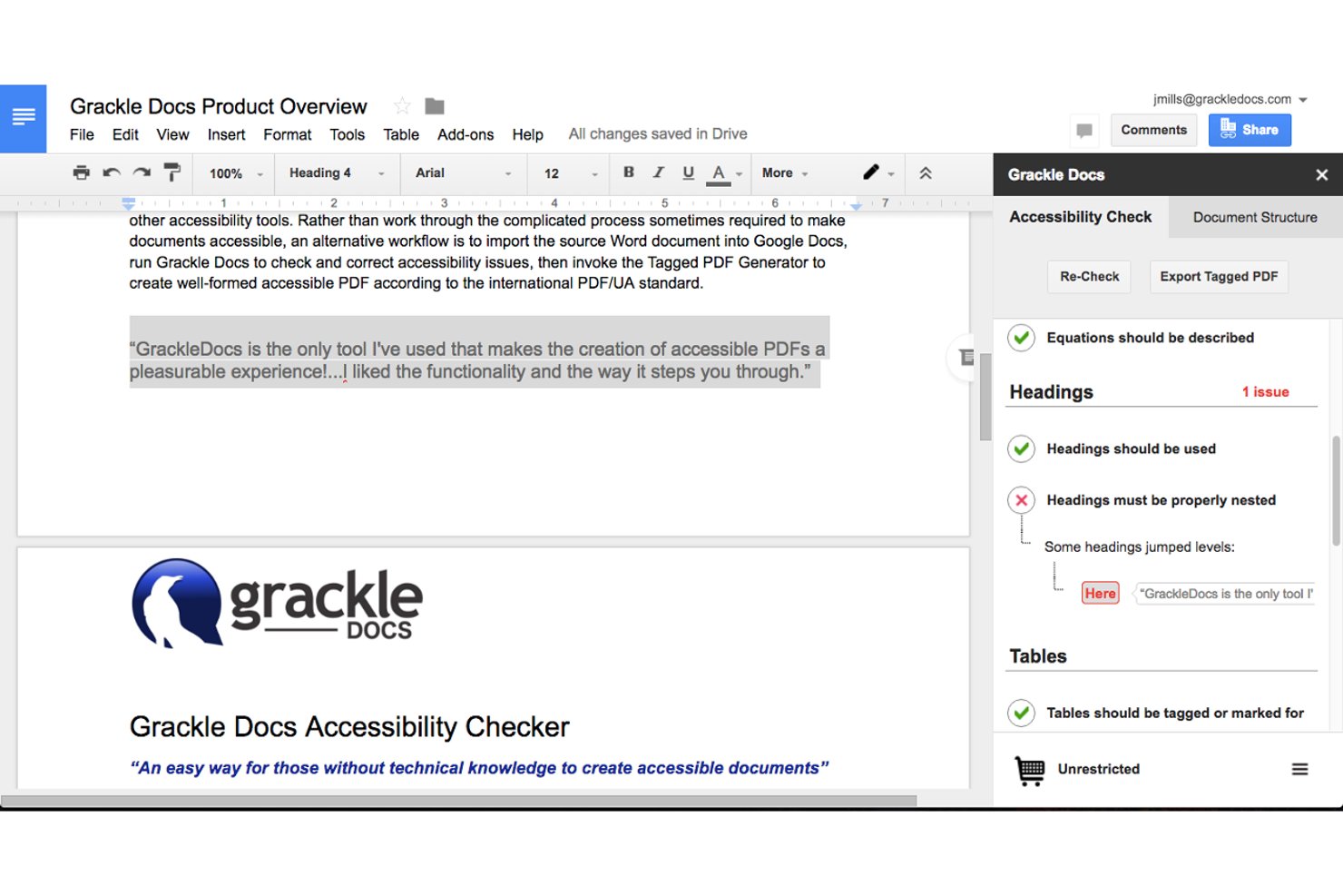 GrackleDocs' accessibility panel shows accessibility issues in Google Document