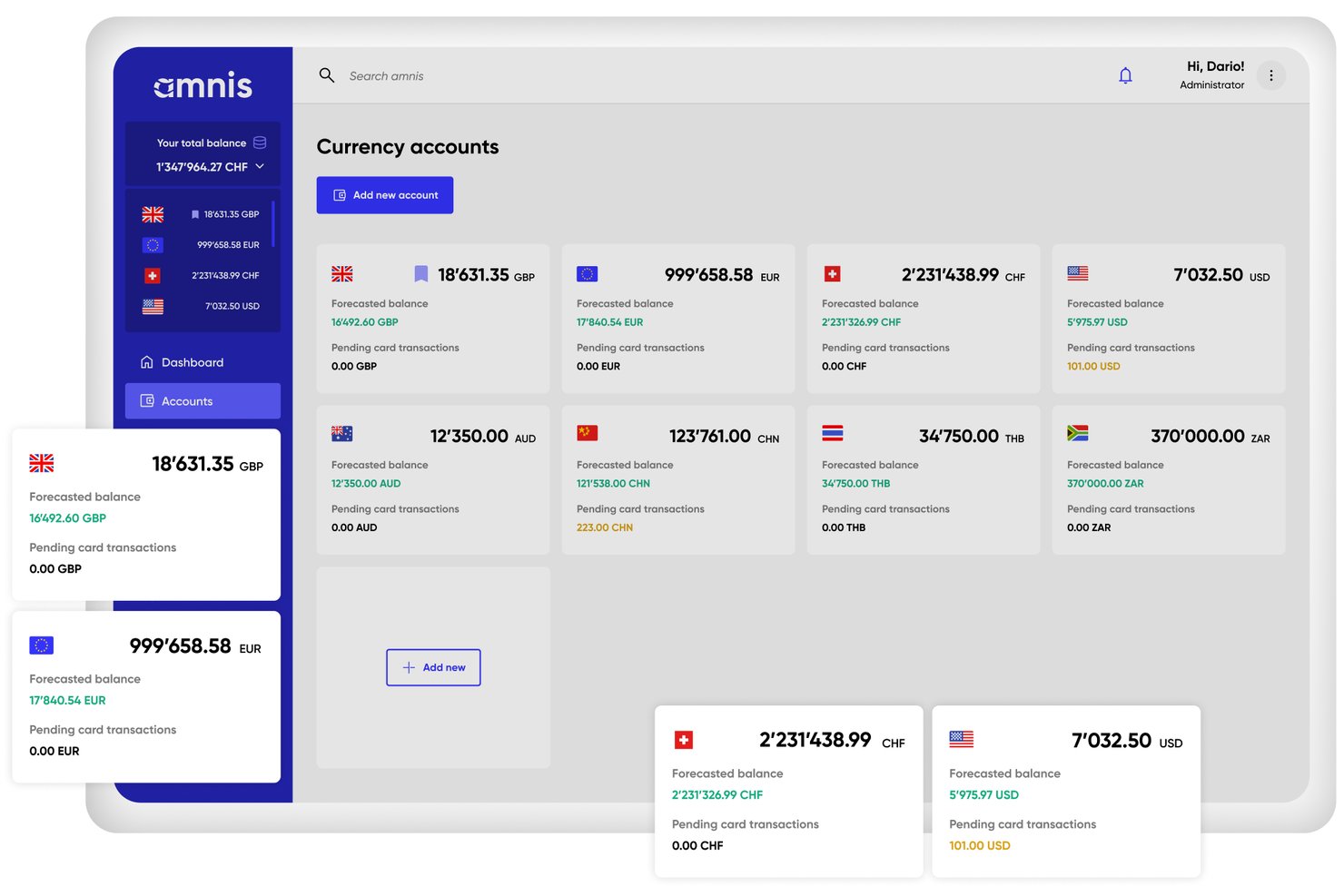 Amnis-dashboard met acht valutarekeningen met saldi en voorspelde bedragen.