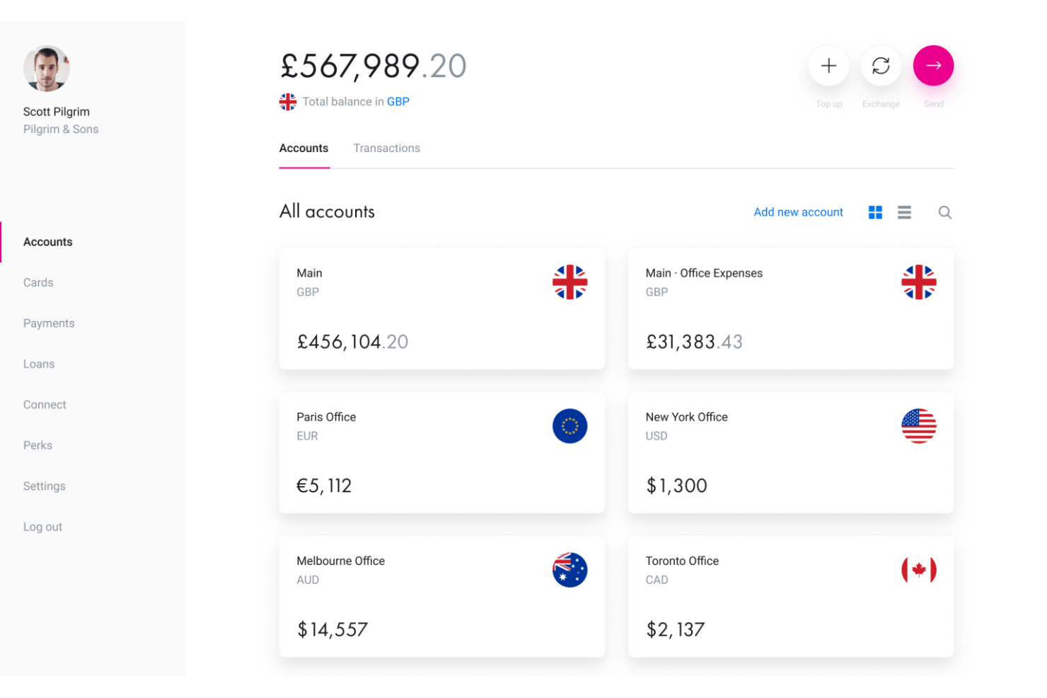 Revolut Business-dashboard met zes rekeningen in meerdere valuta en saldi.