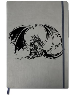 Agenda 2013 Dragon, 24 x 17,5 cm