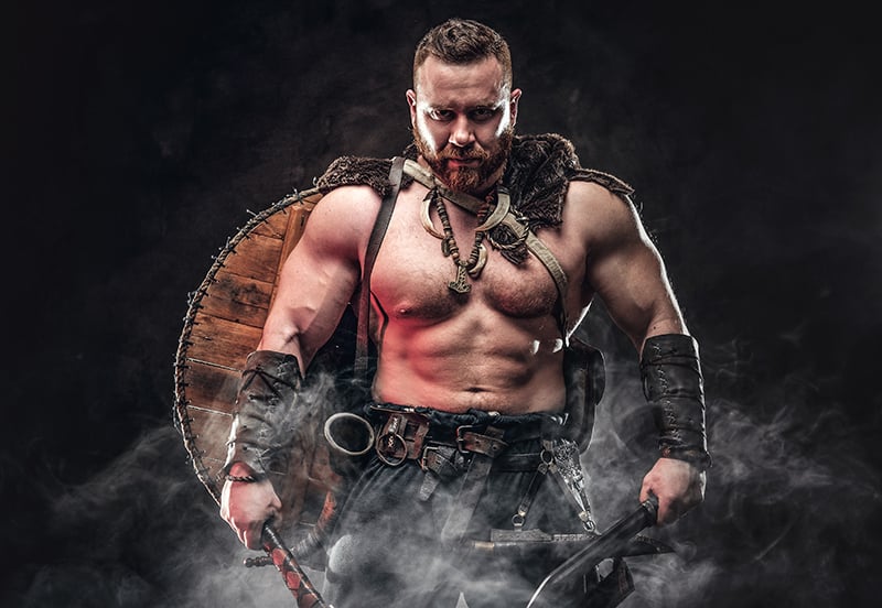 viking armes