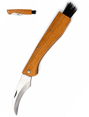 couteau champignon