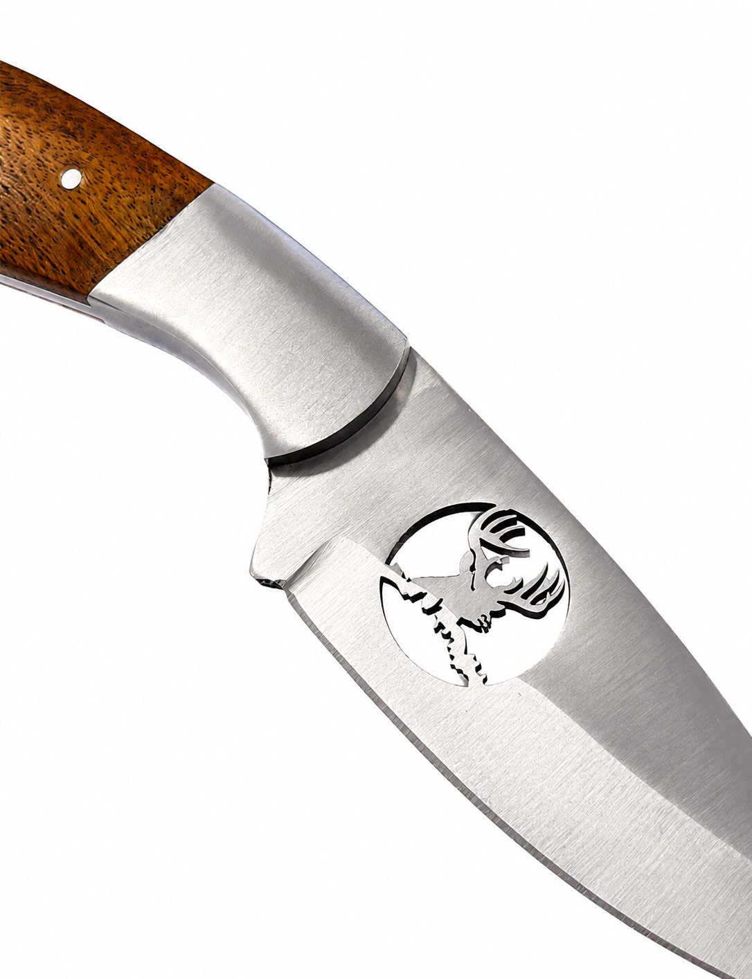 gravure cerf