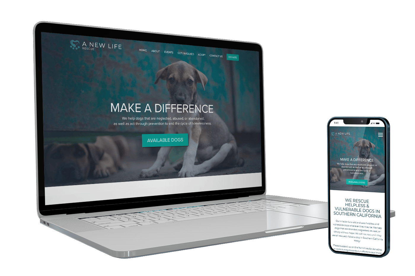 ANLCF Website Design and Development, Dallas TX