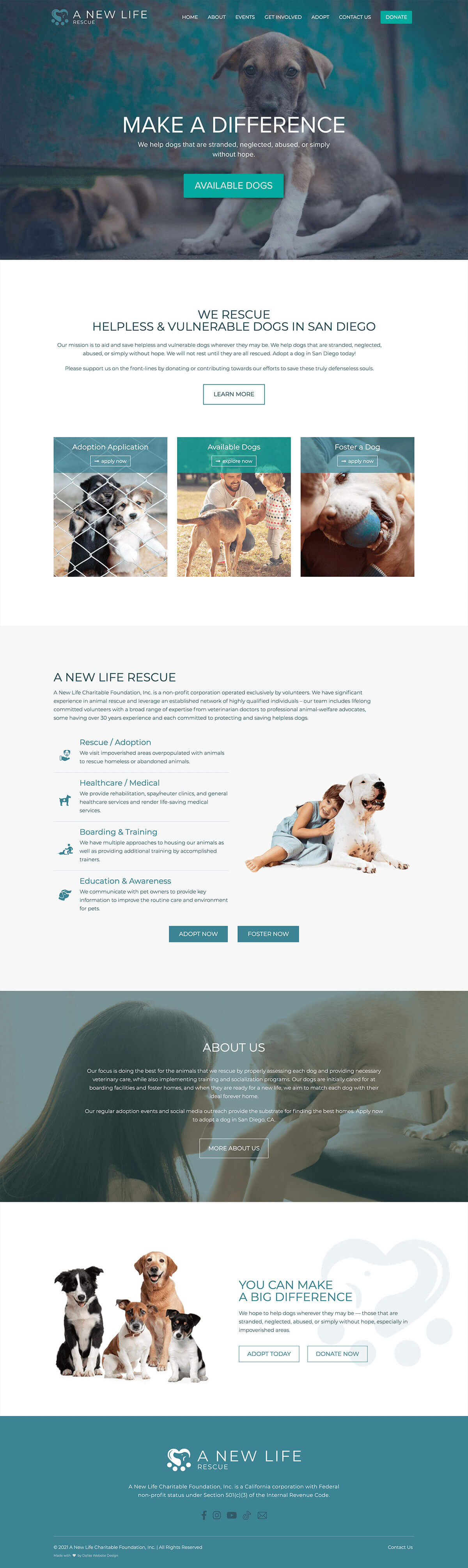 ANLCF Website Design and Development, Dallas TX