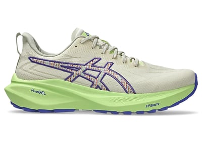 ASICS GT-2000 13 TR 1011C042-300