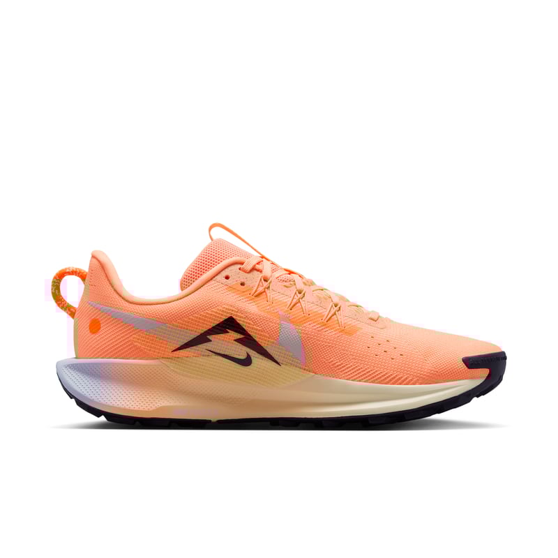 Nike Pegasus Trail 5 DV3864-800 03
