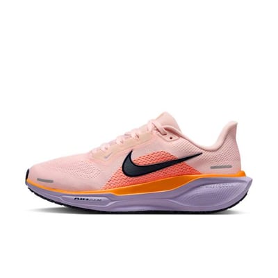 Nike Pegasus 41 FD2723-603