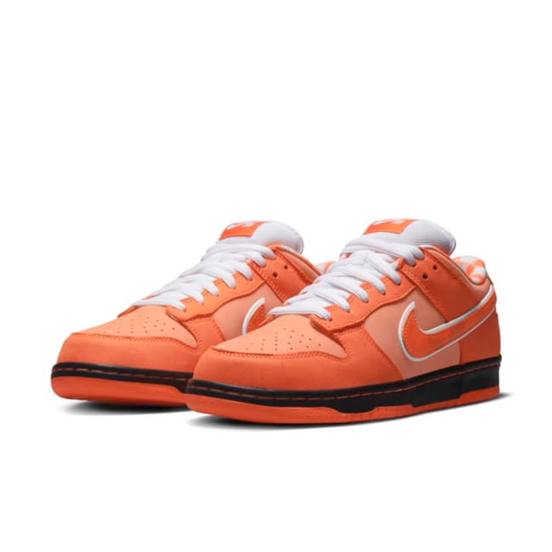 Nike SB Dunk Low x Concepts FD8776-800 05