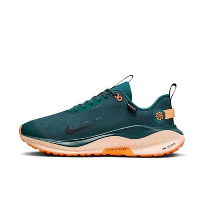 Nike InfinityRN 4 GORE-TEX FB2204-300