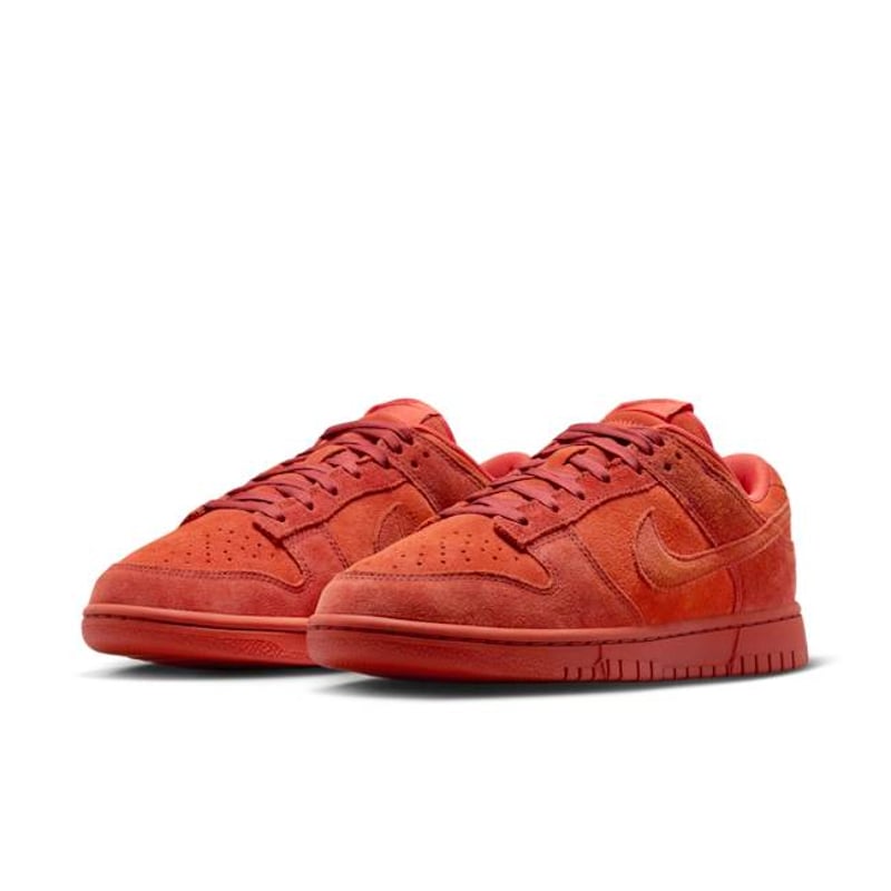 Nike Dunk Low SE HV5756-633 05