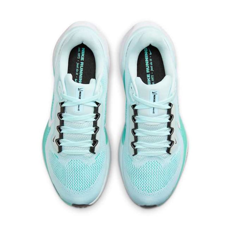 Nike Pegasus 41 FD2723-401 04