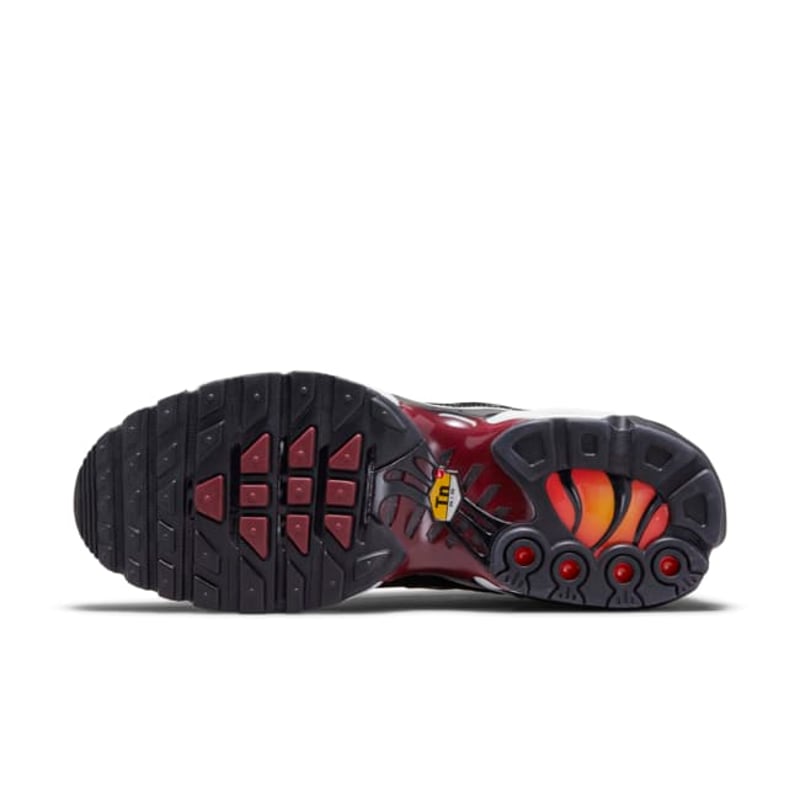 Nike Air Max Plus DO6115-500 02