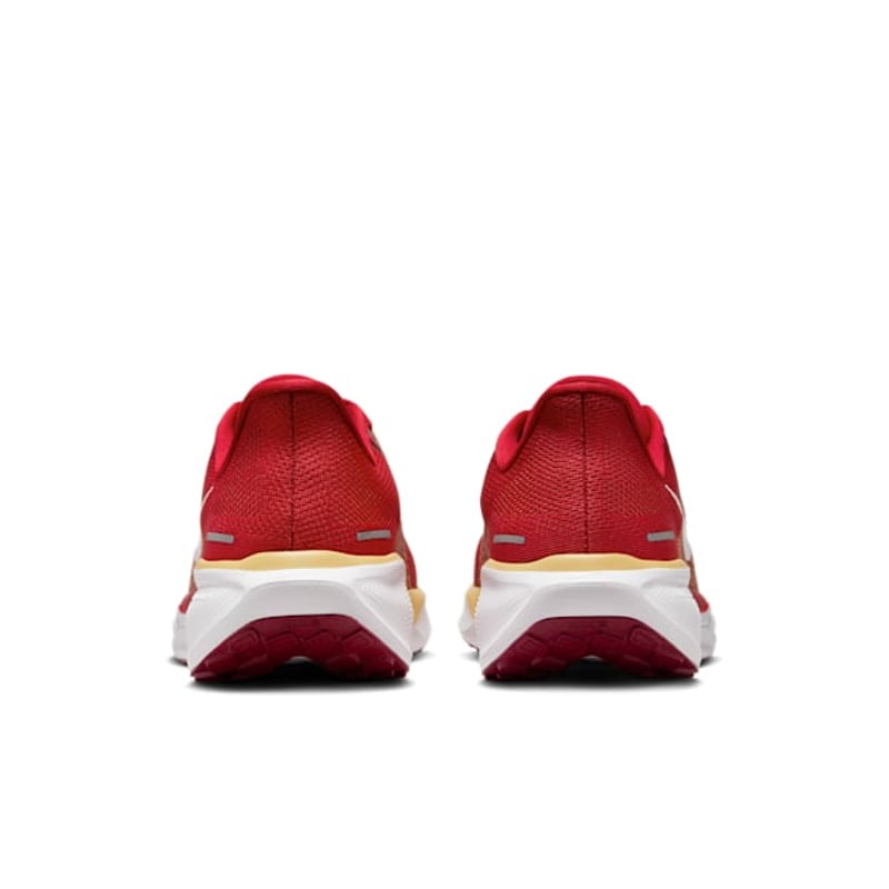 Nike Pegasus 41 x NFL FZ5070-600 06