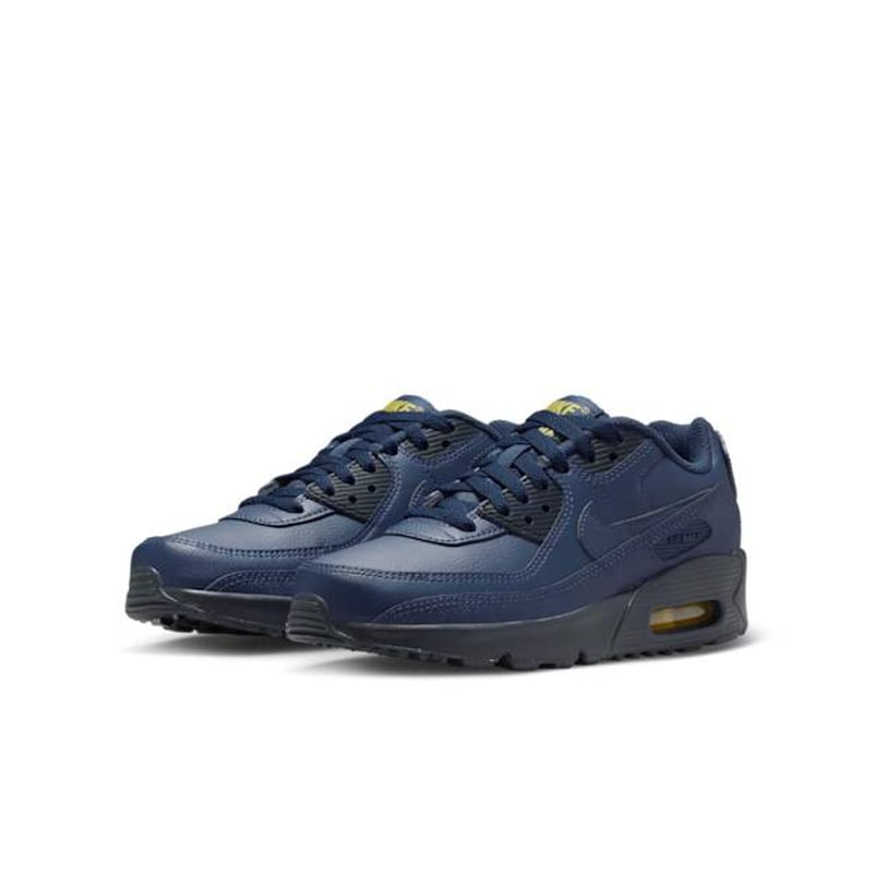 Nike Air Max 90 LTR CD6864-405 05