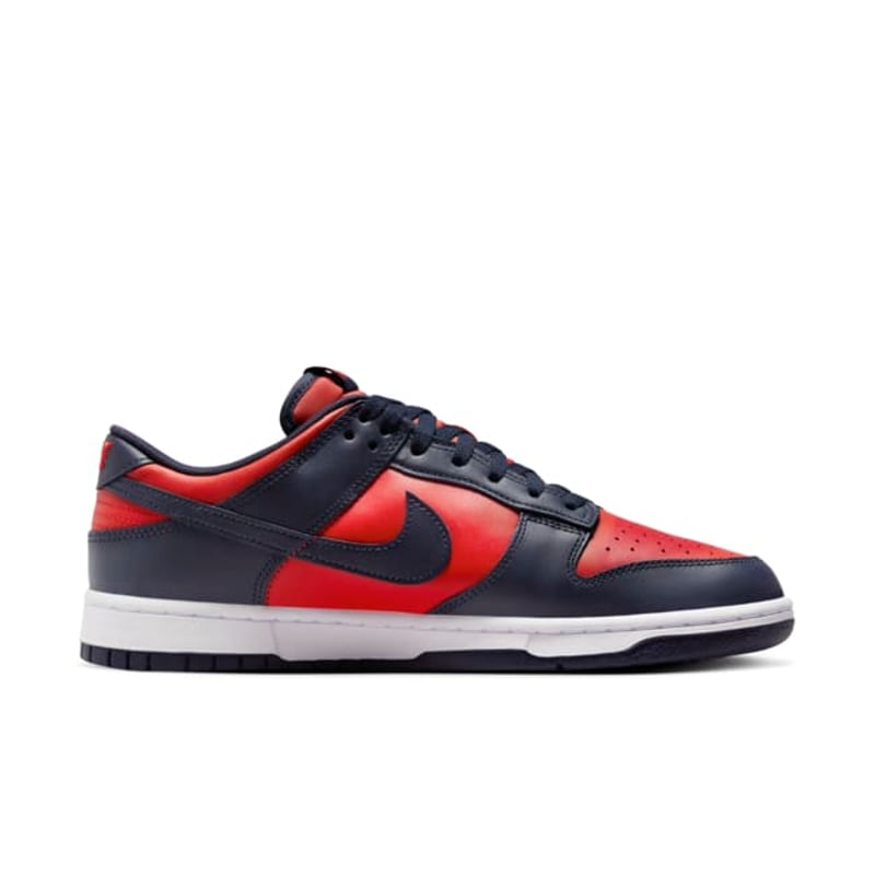 Nike Dunk Low Retro CO.JP DV0833-601 03