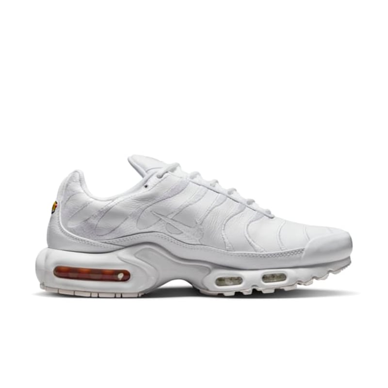 Nike Air Max Plus AJ2029-100 03