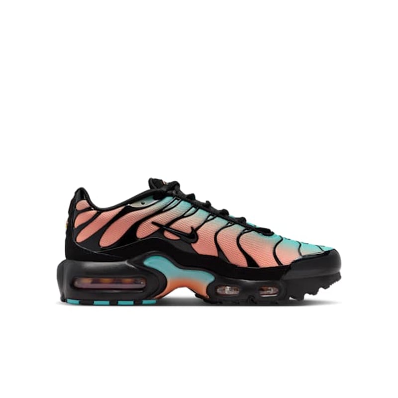 Nike Air Max Plus CD0609-037 03