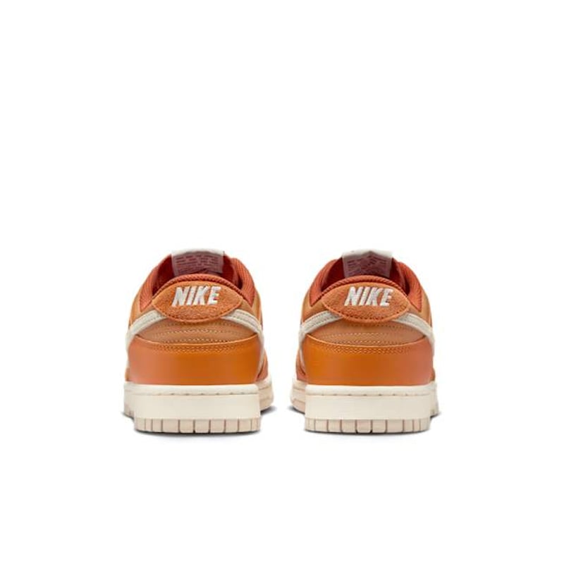 Nike Dunk Low Retro SE HJ9121-815 06